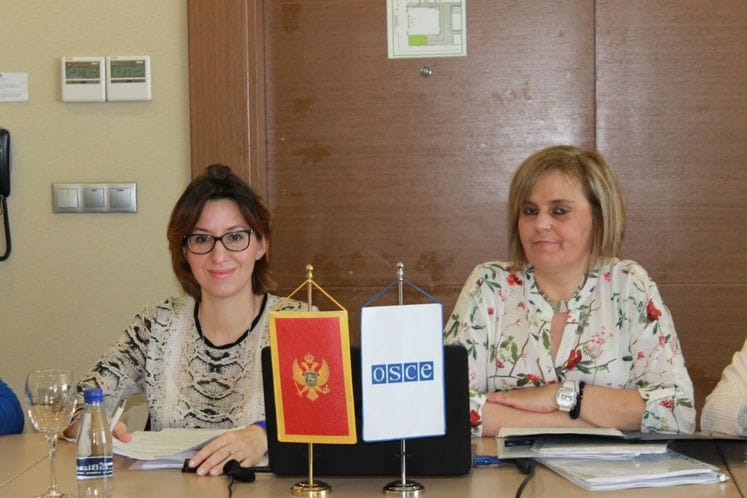 Integrisanje rodne ravnopravnosti u institucije lokalne vlasti