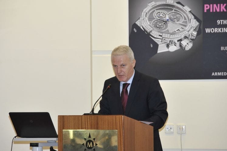 Otvoren deveti sastanak Operativne radne grupe na temu projekta “Pink Panteri”: Crnogorska policija dala značajan doprinos rezultatima projekta