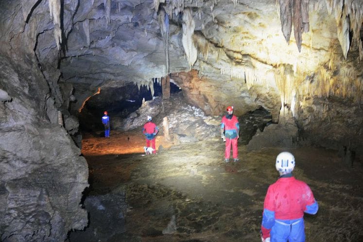 Saopštenje: Speleo-ronilačka ekspedicija „Trnovo 2015“ istražila pećine oko crmničkog sela Trnovo