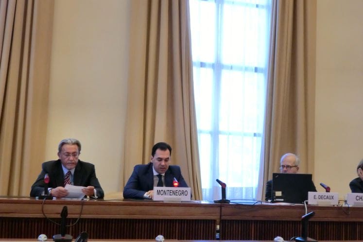 Saopštenje: Pred Komitetom za prisilne nestanke Ujedinjenih nacija uspješno predstavljen Inicijalni izveštaj Crne Gore o sprovođenju Međunarodne konvencije za zaštitu svih lica od prisilnog nestanka