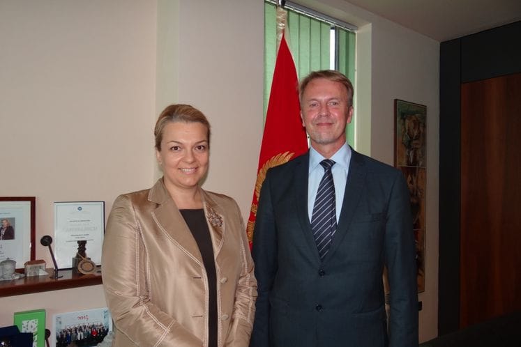 Sastanak ministarke nauke, prof. dr Sanje Vlahović sa novoimenovanim ambasadorom EU u Crnoj Gori, Nj.E. Aivom Oravom
