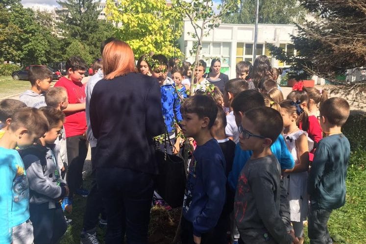 Saopštenje: Crnogorske škole učestvovale u akcija sadnje drveća povodom Međunarodnog dana mira