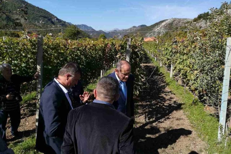 Potpredsjednik Vlade i ministar poljoprivrede M.Simović održao konferenciju za medije na poljoprivrednom gazdinstvu u Nudolu