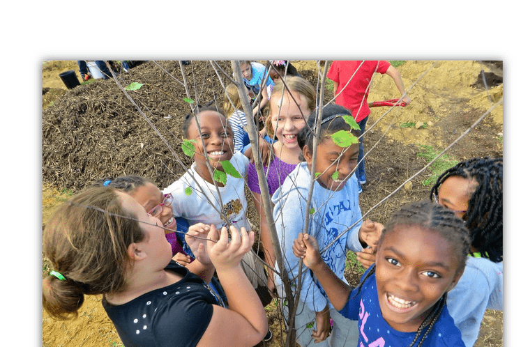 Primjer realizacije programa Eko – škola u Americi