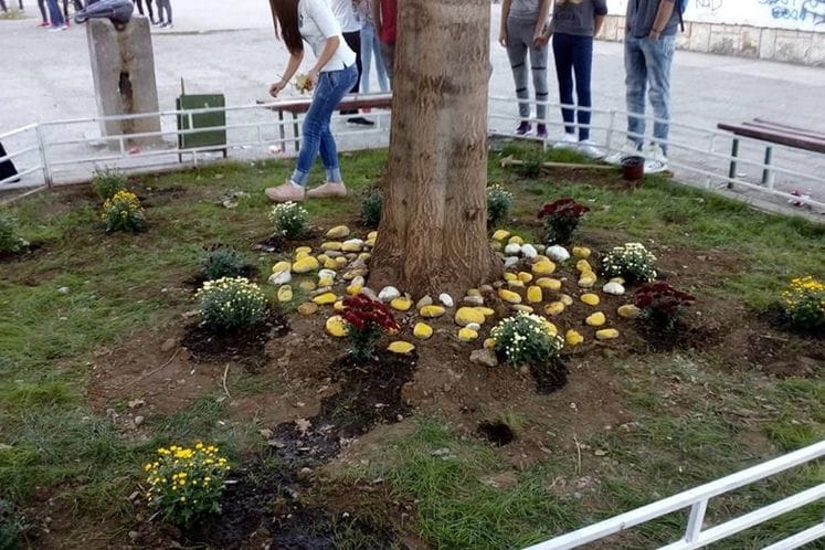 Jesenja sadnja cvijeća