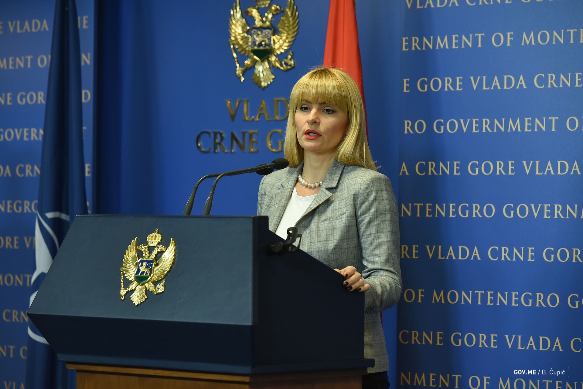 Služba za odnose s javnošću Vlade Crne Gore