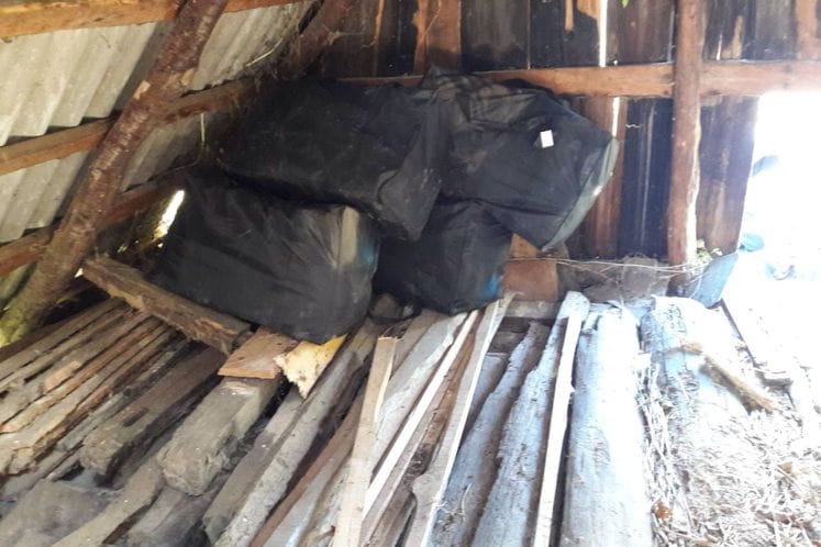 Policijski službenici na reonu Grnčara u dva dana pronašli i zaplijenili oko 240 kg skanka