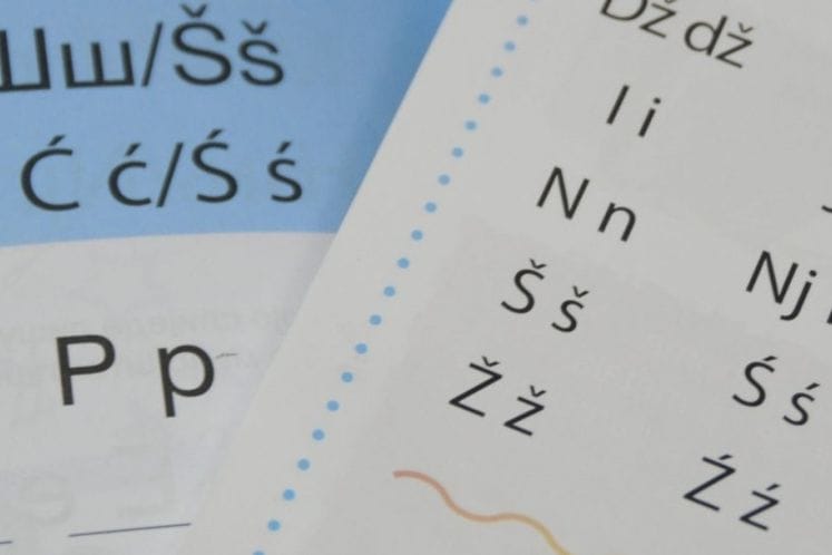 MEĐUNARODNA KODIFIKACIJA CRNOGORSKOG JEZIKA