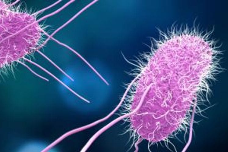 Zbirni izvještaj Evropske unije o trendovima i izvorima zoonoza, uzročnicima zoonoza i pojavama bolesti koje se prenose hranom za 2016. godinu