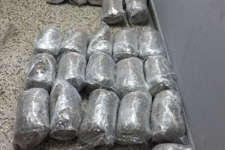 Ulcinj: Oduzeto oko 50 kilograma skanka; osumnjičeni pronađen i lišen slobode