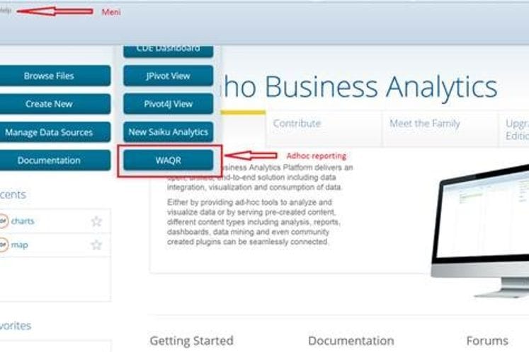 Izvještavanje i poslovna analitika – Socijalni karton – IISSS