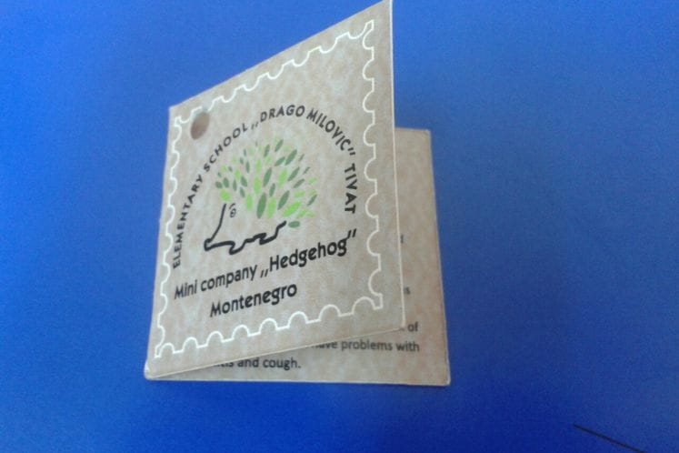 Preduzetnički tim JU OŠ “Drago Milović” na 8. Međunarodnom sajmu školskih kompanija u Berlinu