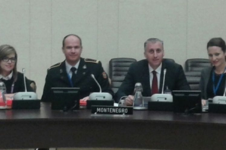 General Director for Defence Policy Ivan Mašulović at the Meeting of Political Directors of NATO Countries