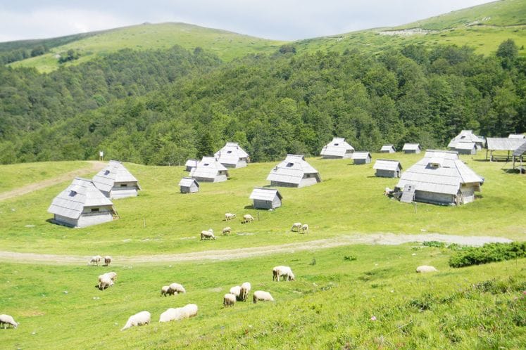 Javni poziv za dodjelu podrške investicijama u adaptaciju planinskih katuna za 2017. godinu