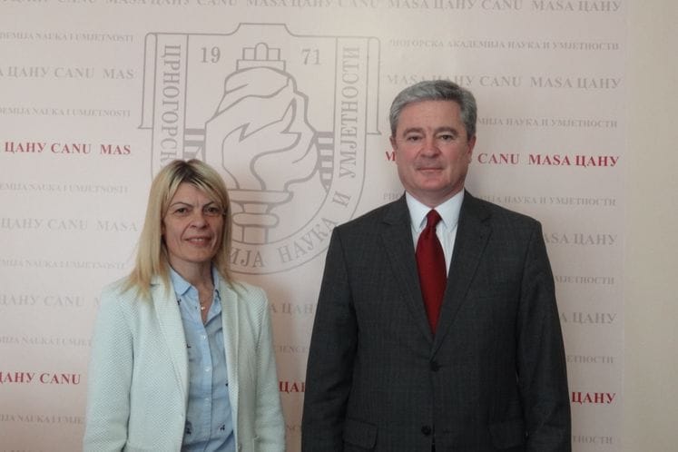 Ministarstvo nauke i CANU: Uključiti crnogorske istraživače u međunarodne projekte