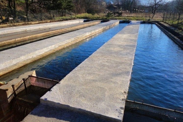 Javni poziv za dodjelu podrške uzgajivačima slatkovodne ribe