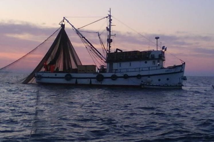 Javni poziv za dodjelu podrške modernizaciji profesionalne ribolovne flote za ulov pelagičnih resursa