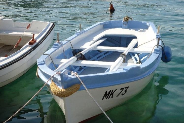 Javni poziv za dodjelu podrške modernizaciji profesionalne ribolovne flote u malom privrednom ribolovu za plovila do 10 m LOA