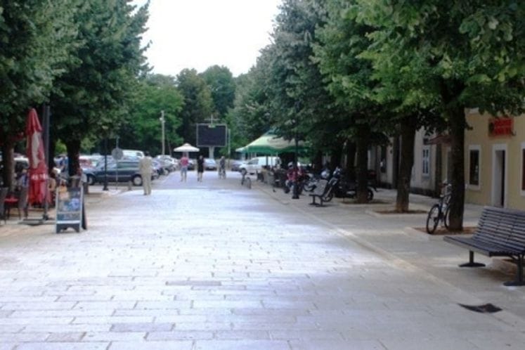 Radna posjeta Prijestonici Cetinje