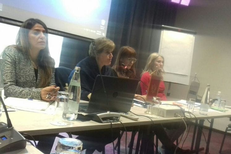 Radionica "Sprječavanje ranih prisilnih brakova"