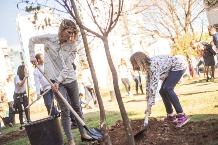 Volonterski klub Telekoma donirao sadnice drveća JU OŠ "Štampar Makarije”