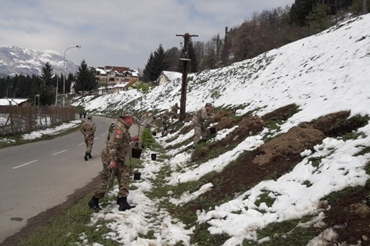 Vojska Crne Gore povodom obilježavanja 22. aprila, Dana planete Zemlje zasadila u opštinama Mojkovac i Bijelo Polje po 29 stabala breze