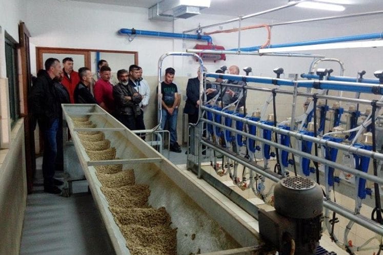 Uz podršku Ministarstva poljoprivrede kozari nabavili visokokvalitetne priplodne jarčeve