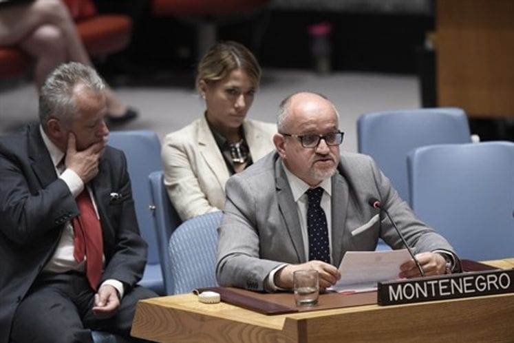 Minister Darmanović delivers speech at UN Security Council in New York