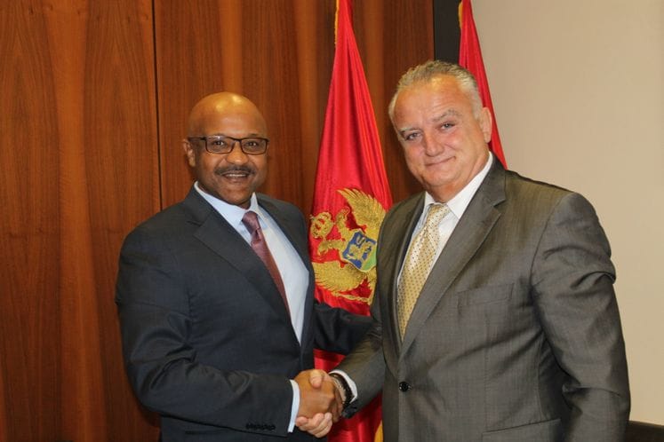 Meeting: Zenka-Makavi Kogali: Montenegro has a social potential when it comes to respecting human rights