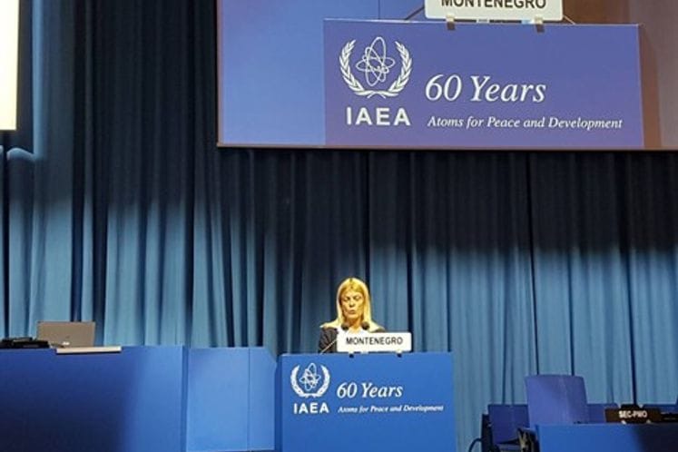 Minister Damjanović participates in 61st General Conference of IAEA