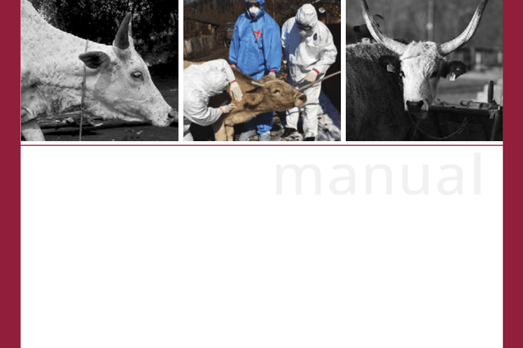 FAO: Bolest kvrgave kože – terenski priručnik za veterinare