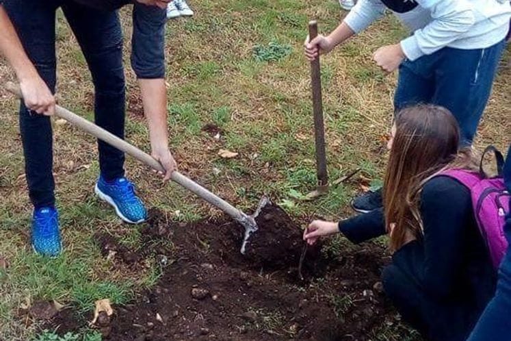 Obilježavanje 21. septembra-Dana mira