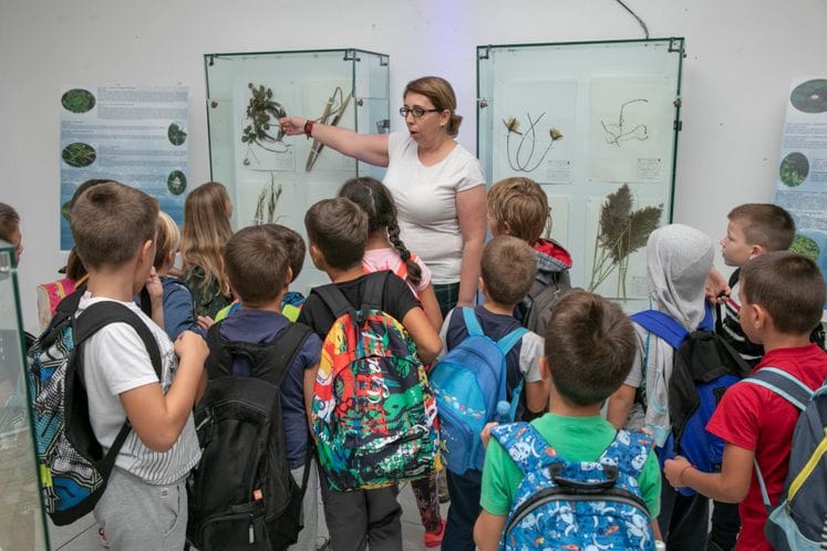 ODN 2018: Vodena čarolija Prirodnjačkog muzeja