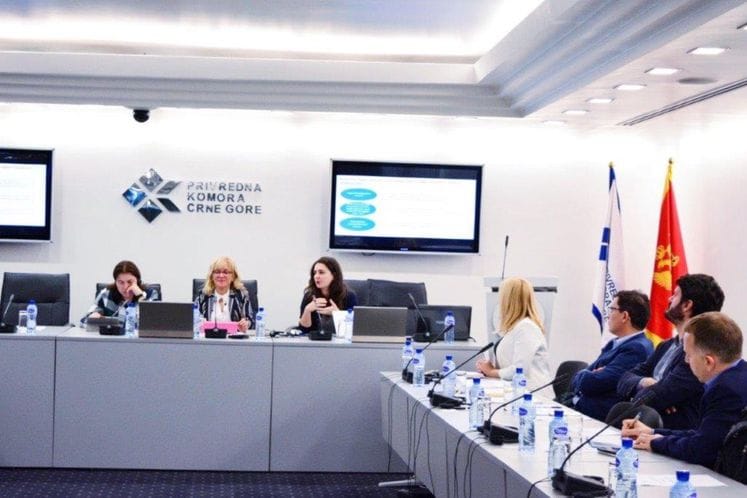 Održana radionica „Unapređenje digitalnih vještina u zemljama Zapadnog Balkana (WB6)“