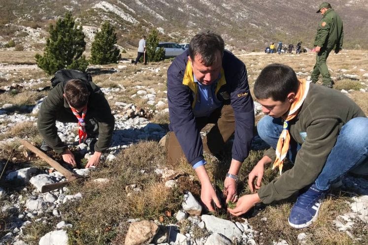 Mladi iz Herceg Novog pokazali odnos prema šumama u akciji „Za svakog stanovnika po jedna sadnica“