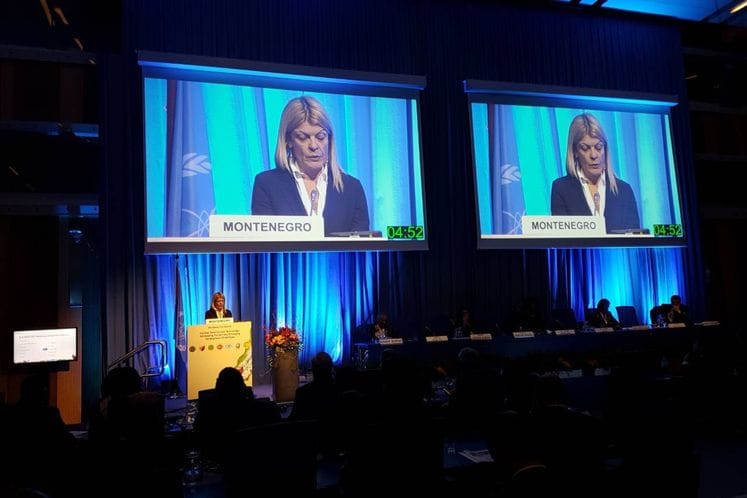 Ministarka Damjanović na konferenciji Međunarodne agencije za atomsku energiju