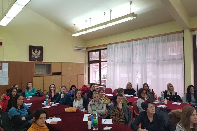 Sprovedeno savjetovanje i promocija izrade specijalizovane didaktike, prepoznavanje razvojnih smetnji, prilagođavanje i predstavljanje ponude programa rane intervencije