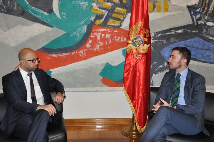 Ministar Bogdanović - ambasador Palestine Alhantouli: Izložba savremene umjetnosti Palestine na Cetinju