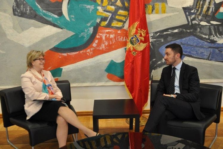 Ministar Bogdanović i ambasadorka Sjedinjenih Američkih Država u Crnoj Gori Uehara razgovarali o saradnji u oblasti kulture