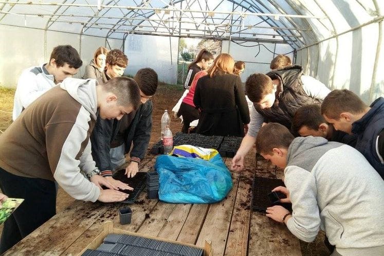 Hemijska škola - Praktična nastava u plasteniku