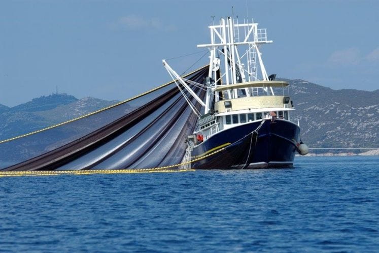 Javni poziv za dodjelu podrške za modernizaciju profesionalne ribolovne flote za ulov pelagičnih resursa