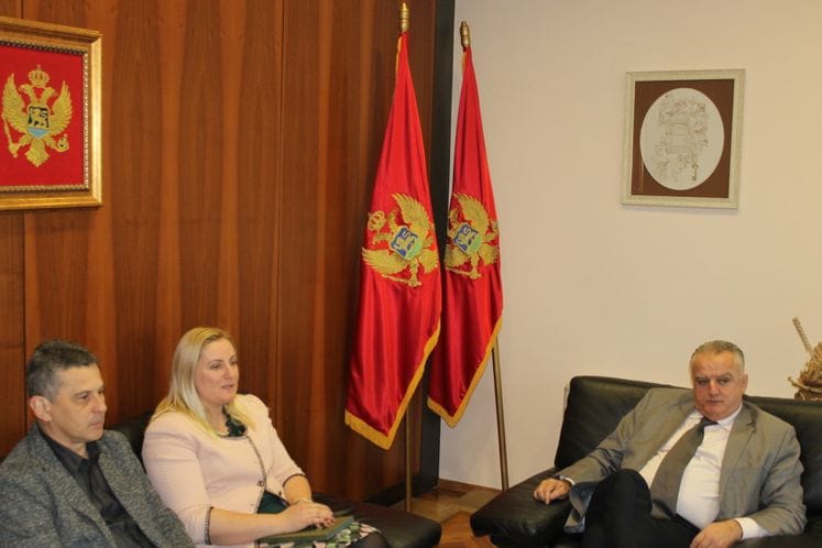 Promocija romskog kulturnog identiteta