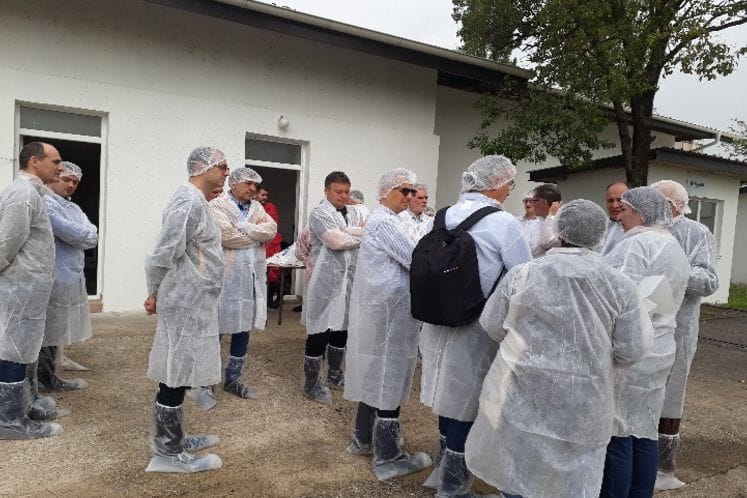 TAIEX- Mjere za kontrolu afričke kuge svinja