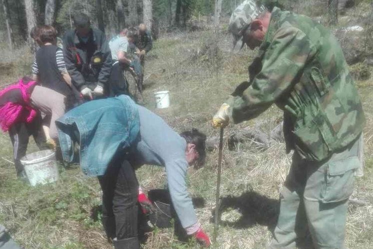 Vlada opredijelila sredstva za interventnu sanaciju opožarenih površina: U toku pošumljavanje, predviđena sadnja više od 370 hiljada sadnica