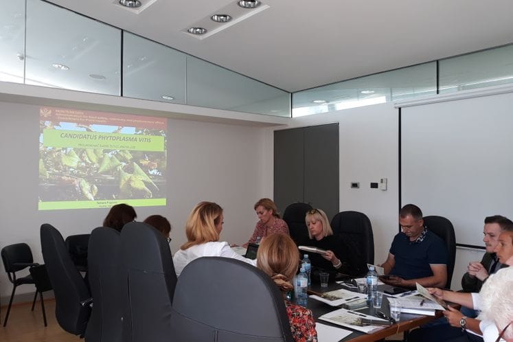 Održan sastanak povodom implementacije Naredbe o hitnim fitosanitarnim mjerama za sprečavanje unošenja zlatne žutice vinove loze