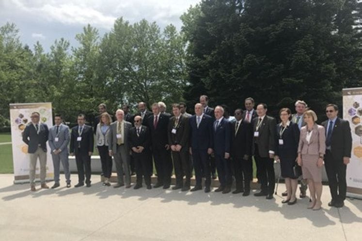 DPM Simović takes part in ministerial conference on World Bee Day: Global response to bee protection
