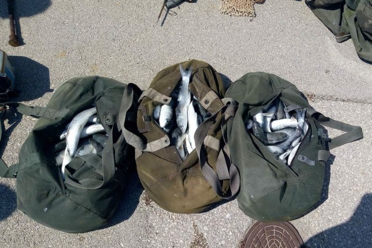 Bar: Dva lica lišena slobode a jedno novčano kažnjeno; oduzeta eksplozivna i druga sredstva namijenjena nezakonitom izlovu ribe kao i 70 kg ribe