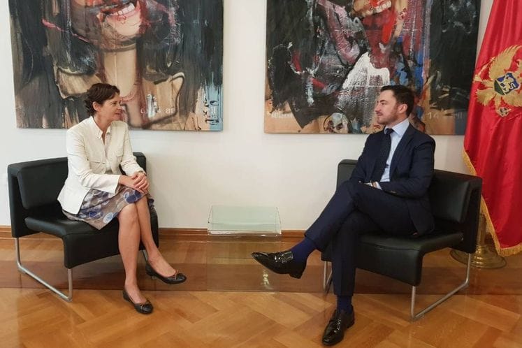 Ministar Bogdanović – ambasadorka Janković: Dobra saradnja Crne Gore i Austrije u oblasti kulture