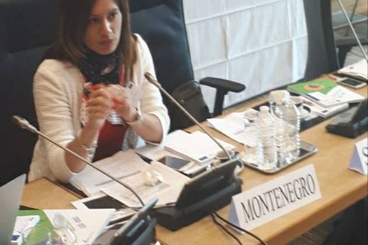 Pariz: Crnoj Gori dodatnih 1,5 miliona eura za pripremu projekta izgradnje obilaznice oko Budve