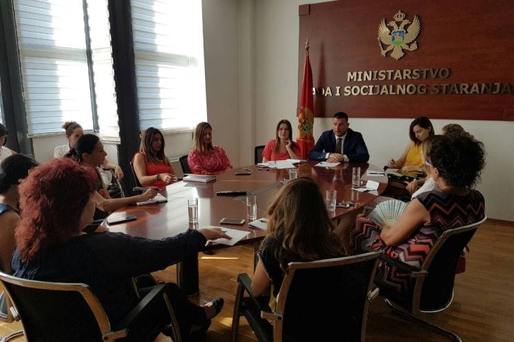 Otvorenost Minisarstva rada i socijalnog staranja za saradnju sa NVO koje se bave problematikom nasilja u porodici
